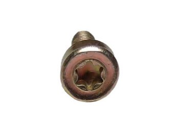 Parafuso Torx 6 x 20 para Motosserras e Roçadeiras